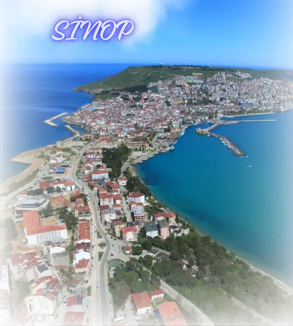 sinop-kusbakisi